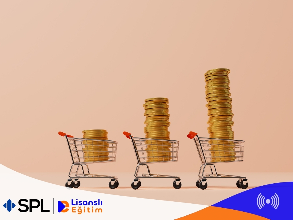 Finansal Yatırımların Muhasebeleştirilmesi Ve Konsolidasyon