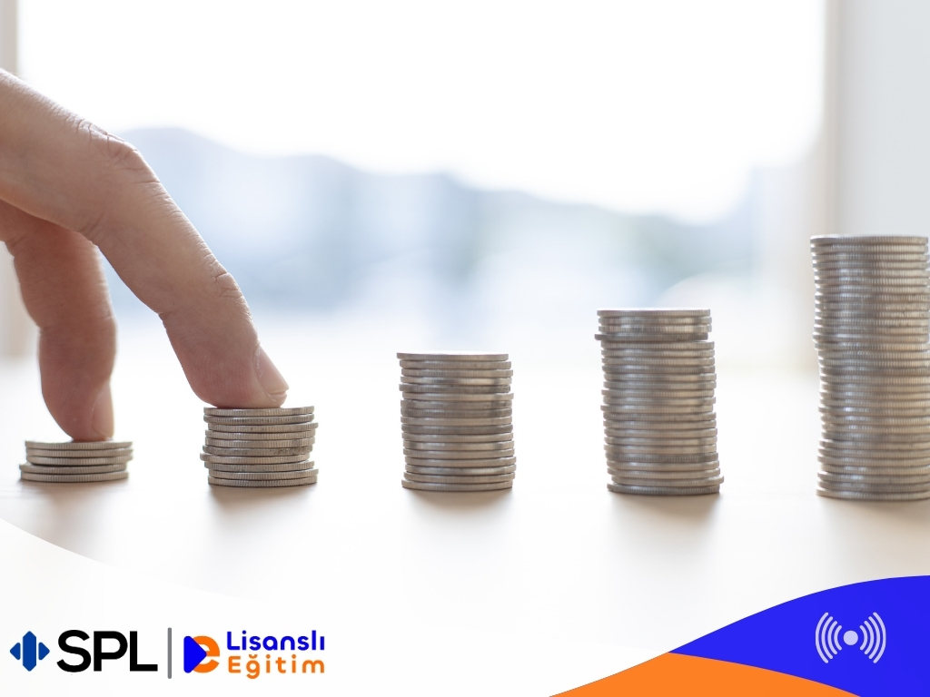 Davranışsal Finans: Sermaye Piyasalarında Anomaliler, Balonlar ve Çöküşler