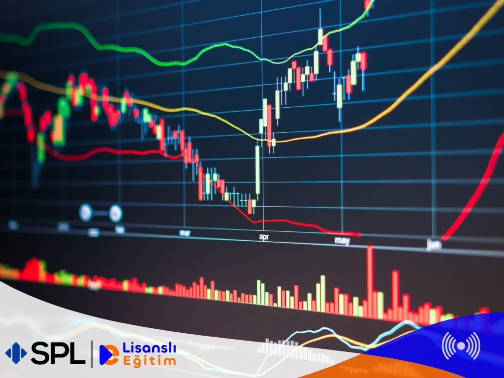 Finans Mühendisliğinde Stokastik Süreçler ve Opsiyon Fiyatlama Modelleri