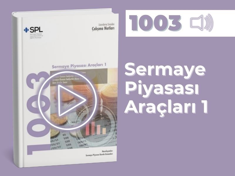 Sermaye Piyasası Araçları 1